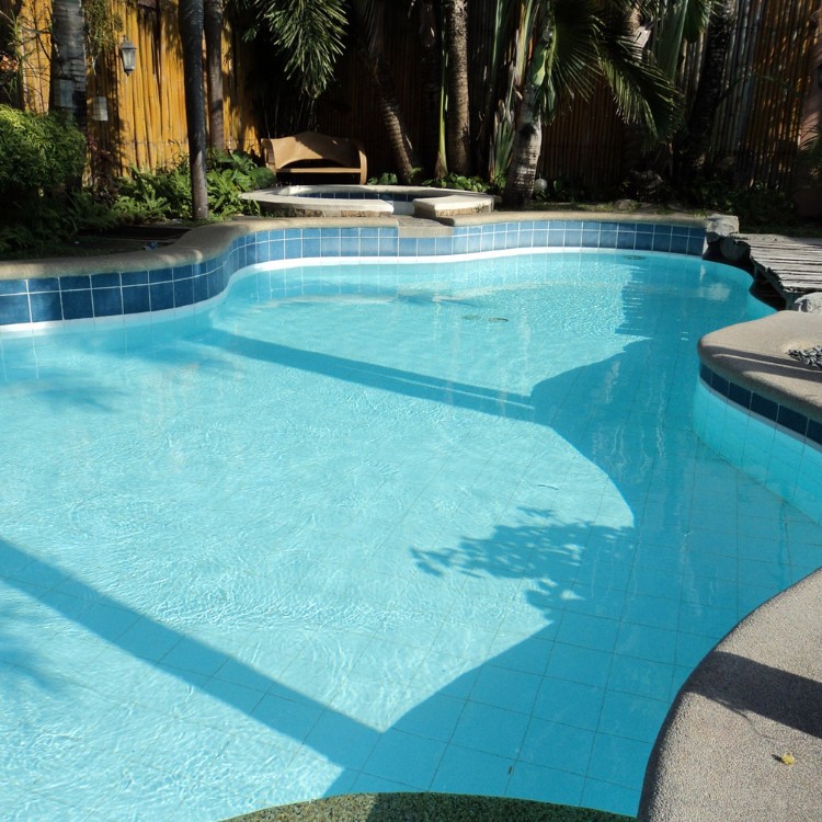 Pool services in Arlington, TX