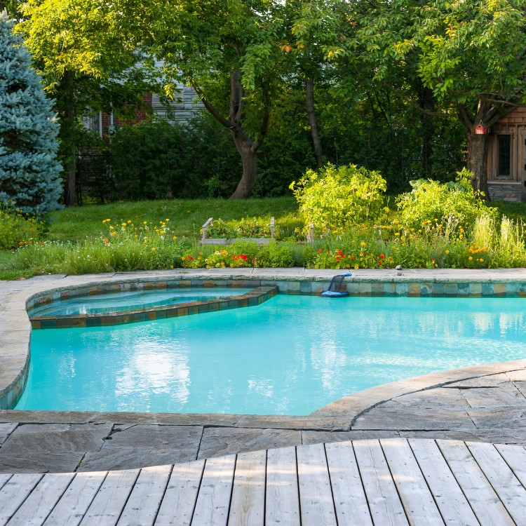 Pool services in Arlington, TX